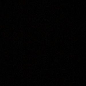 Meet your Posher, Alondra